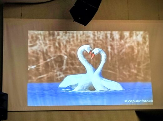 Susitikimas su gamtininku Mariumi Čepuliu